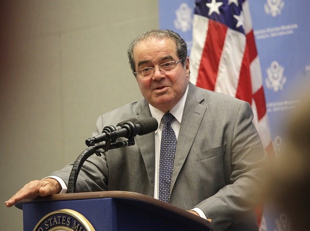 Scalia4.jpg