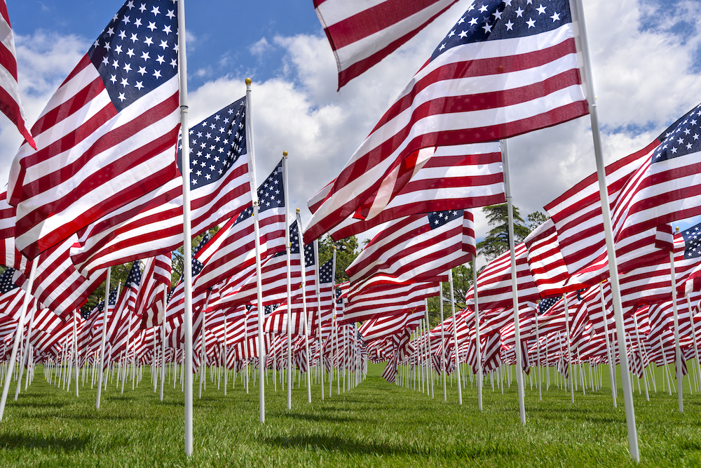 American flags on a green grass