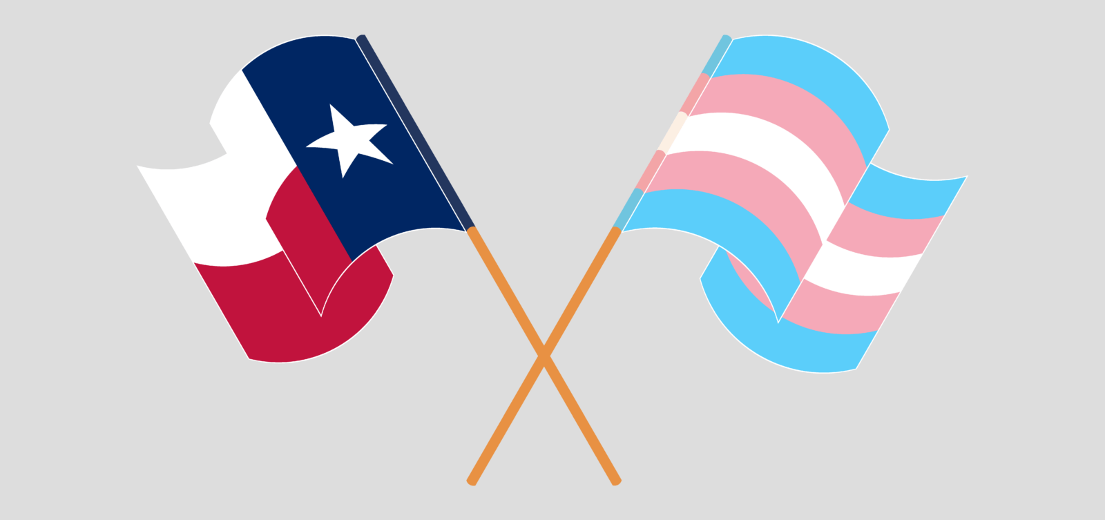 Trans pride flag crossed with Texas state flag