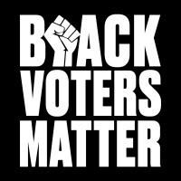 Black Voters Matter Fun